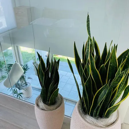 Jesolo Beach Villa Hébergement de vacances Jesolo