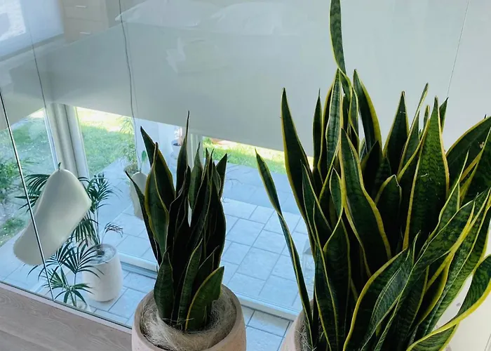 Jesolo Beach Villa بيت للعطل ليدو دي يسولو